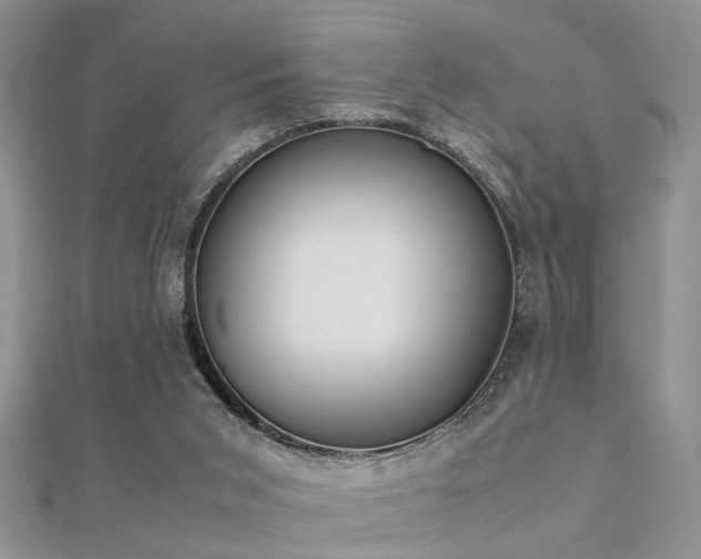 X0000112400015200908141349