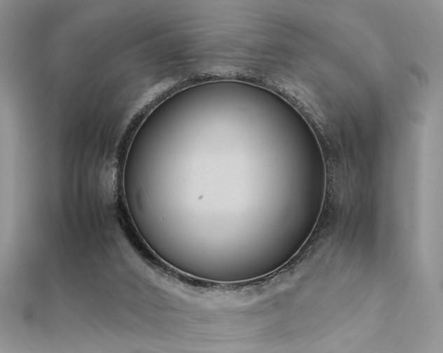 X0000112400016200908141349
