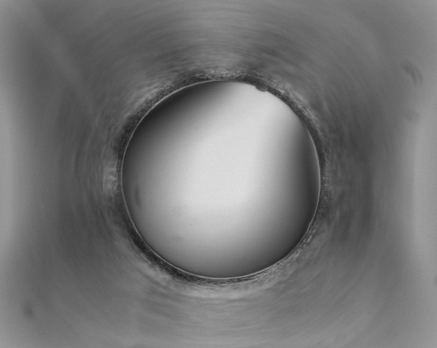 X0000112400017200908141349