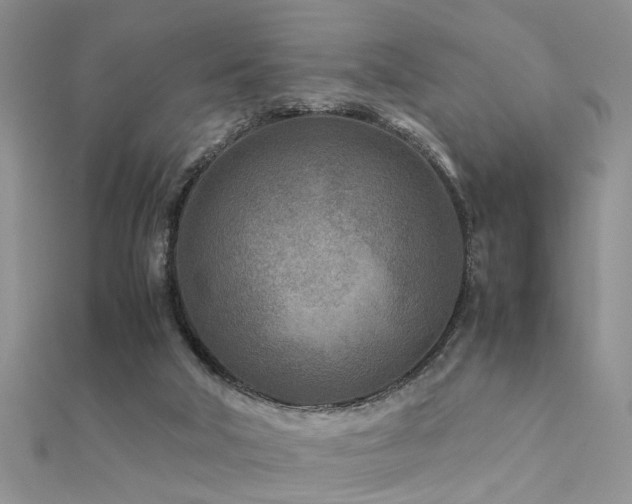 X0000112400018200908141349