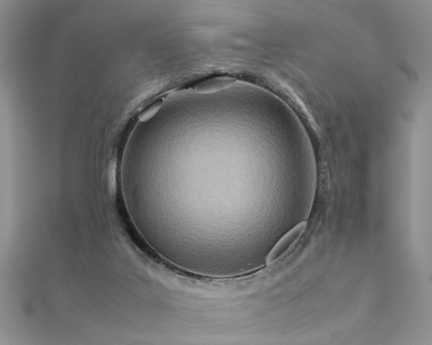 X0000112400019200908141349