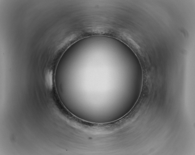 X0000112400020200908141349