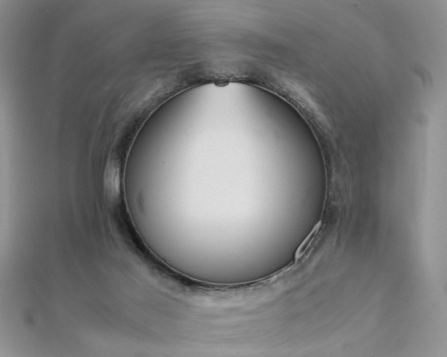 X0000112400021200908141349