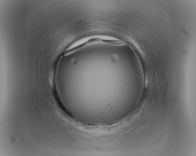 X0000112400023200908141349