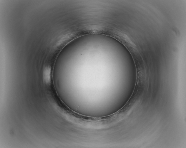X0000112400024200908141349