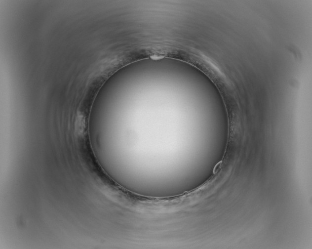X0000112400025200908141349