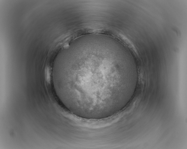 X0000112400026200908141349