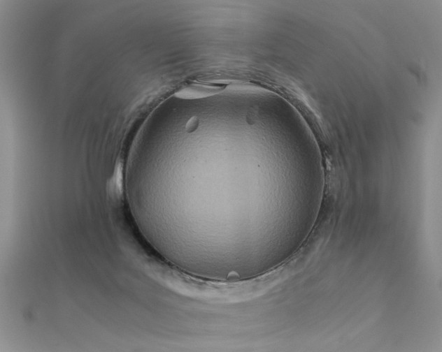 X0000112400027200908141349
