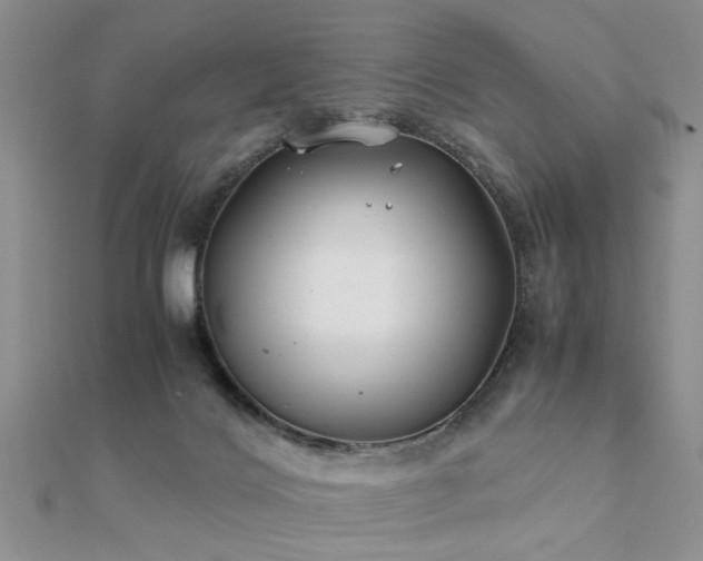 X0000112400028200908141349