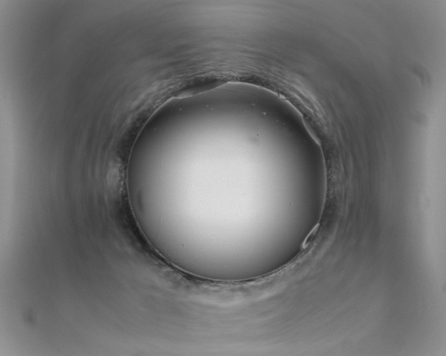 X0000112400029200908141349