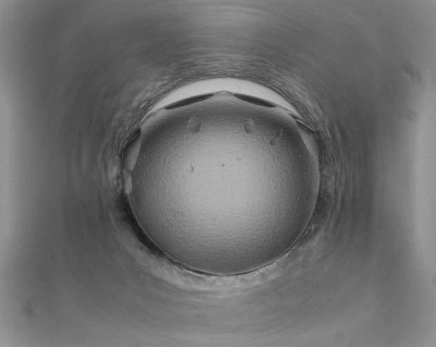 X0000112400031200908141349