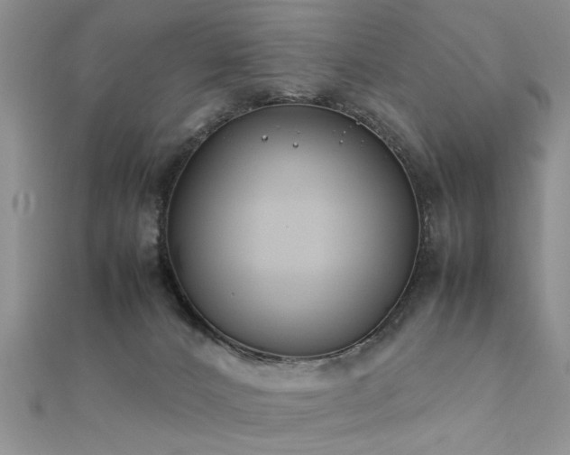 X0000112400032200908141349