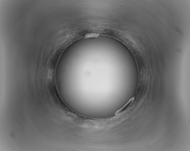 X0000112400033200908141349