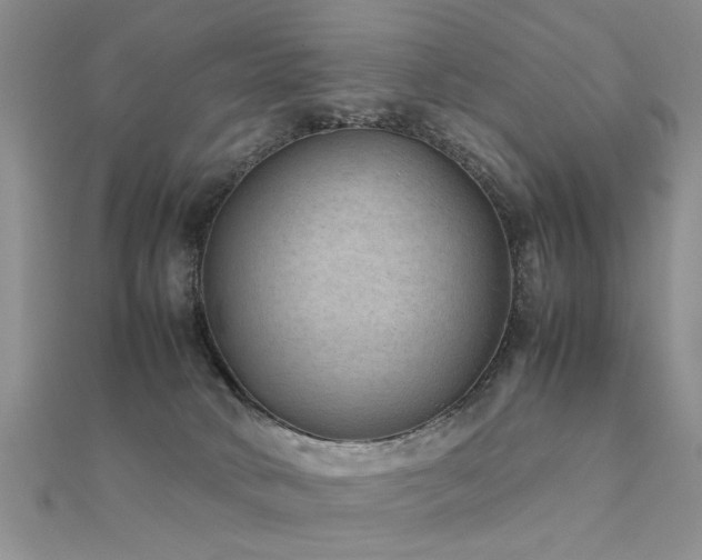 X0000112400034200908141349