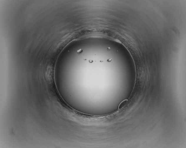 X0000112400036200908141349