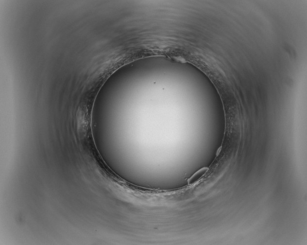 X0000112400040200908141349
