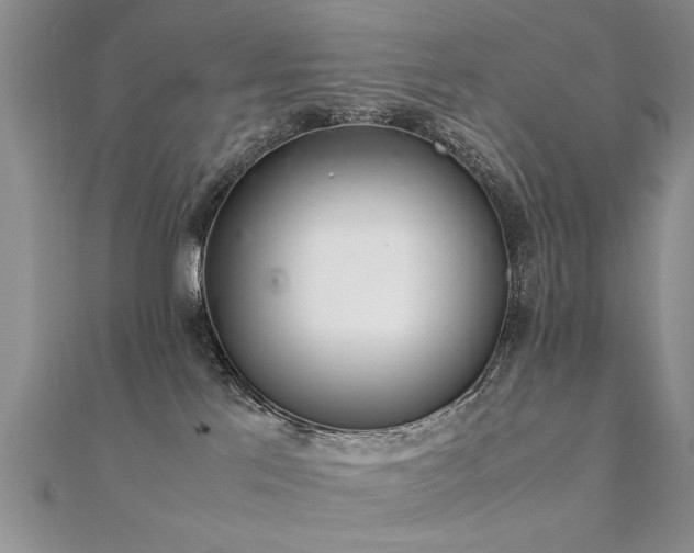 X0000112400041200908141349