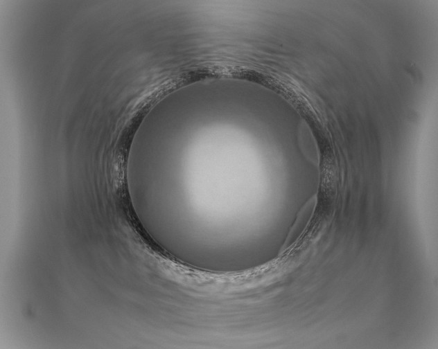 X0000112400043200908141349