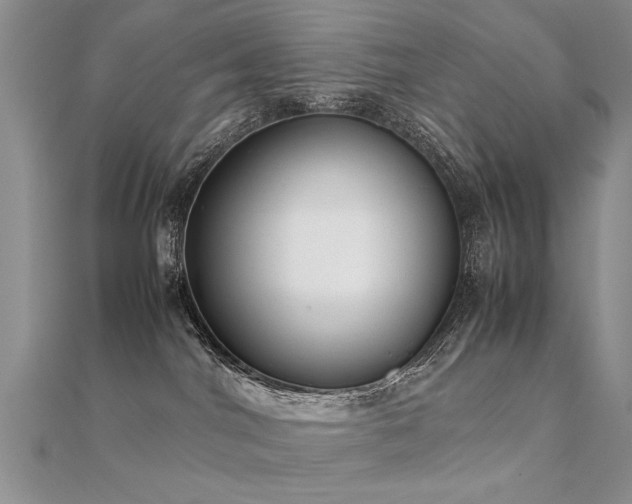 X0000112400044200908141349