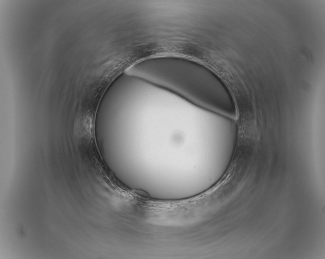 X0000112400045200908141349