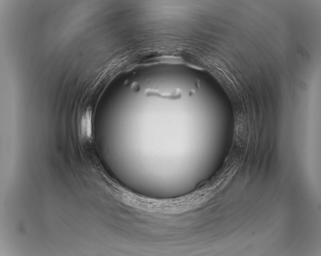 X0000112400046200908141349