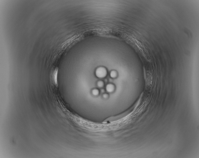 X0000112400047200908141349