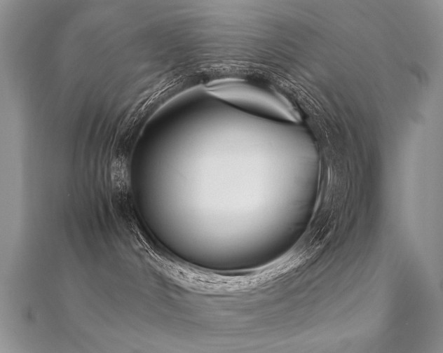 X0000112400048200908141349