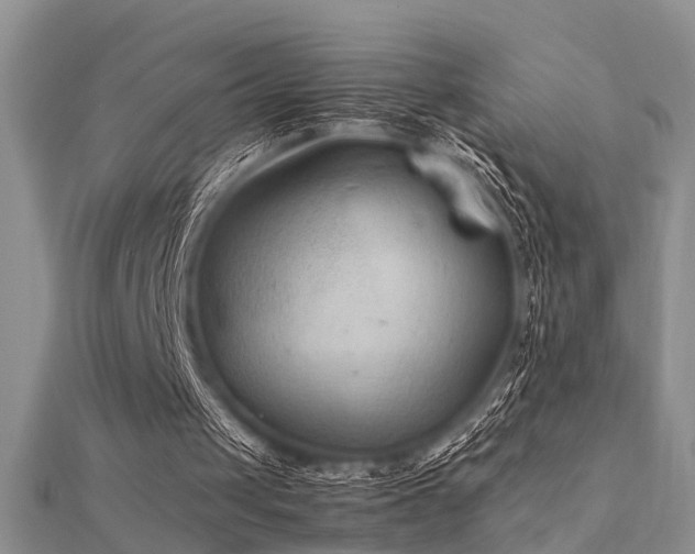 X0000112400049200908141348
