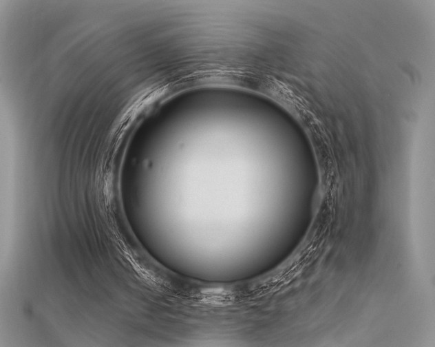 X0000112400050200908141348