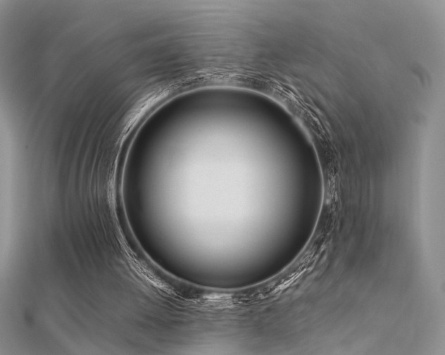 X0000112400052200908141348