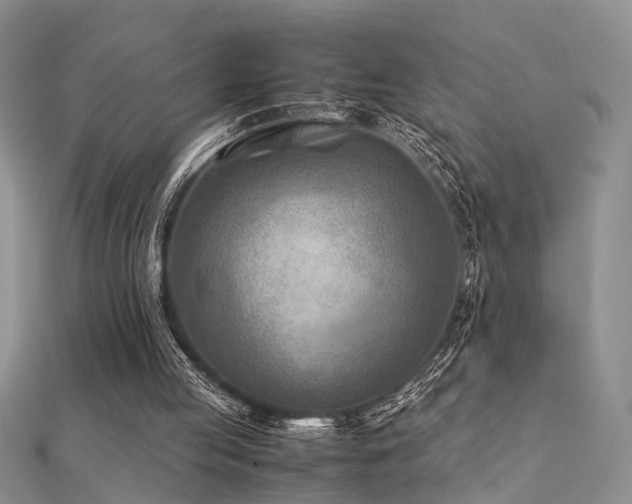 X0000112400053200908141348