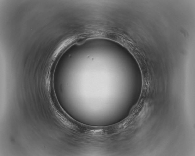 X0000112400054200908141348