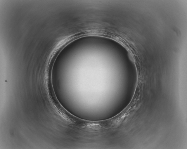 X0000112400055200908141348