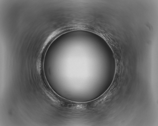 X0000112400056200908141348