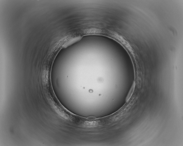 X0000112400057200908141348