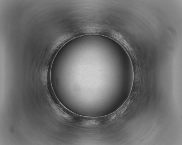 X0000112400058200908141348