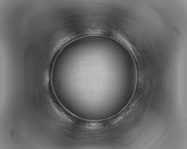 X0000112400059200908141348