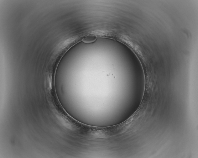 X0000112400062200908141348
