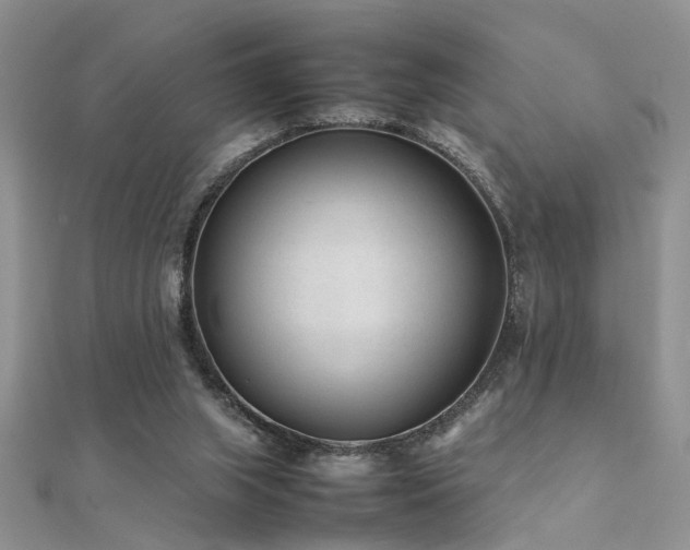 X0000112400063200908141348