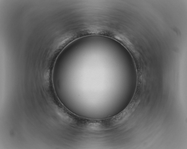X0000112400066200908141348