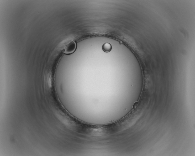 X0000112400068200908141348
