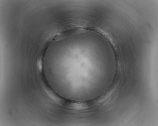 X0000112400069200908141348