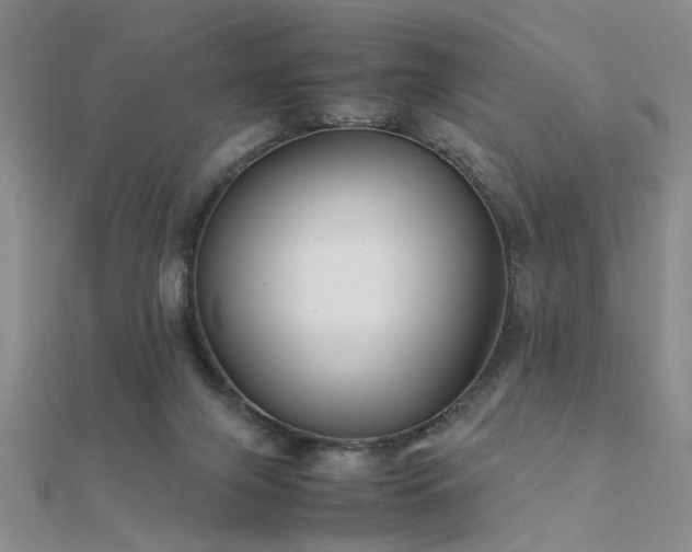X0000112400071200908141348