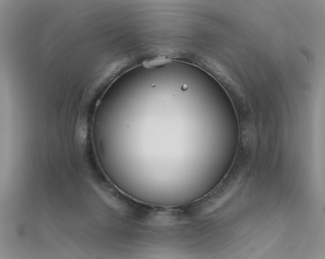 X0000112400072200908141348