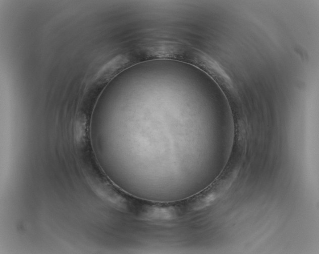 X0000112400073200908141348