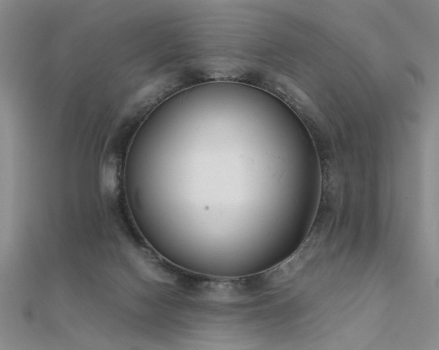 X0000112400074200908141348