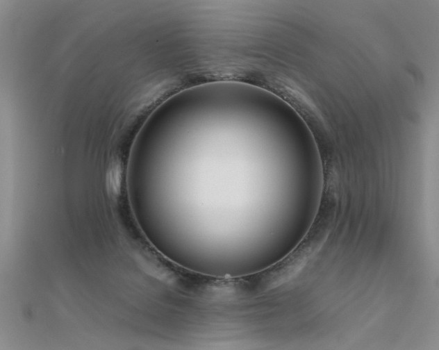 X0000112400076200908141348