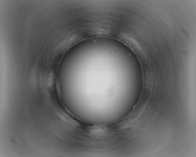 X0000112400077200908141348