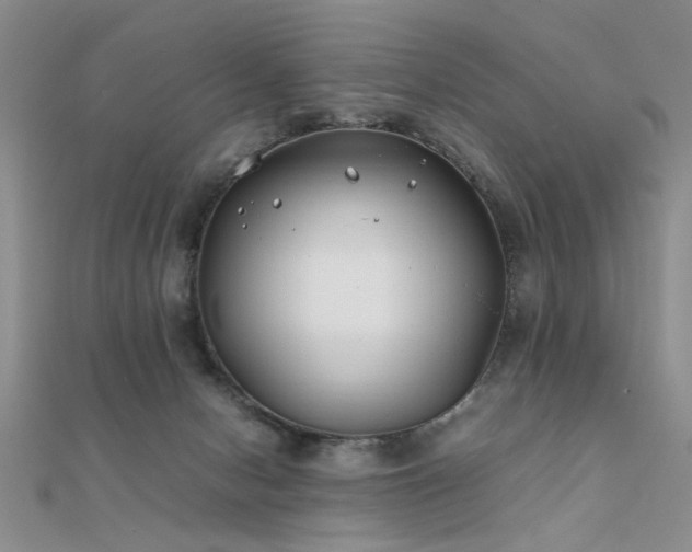 X0000112400078200908141348