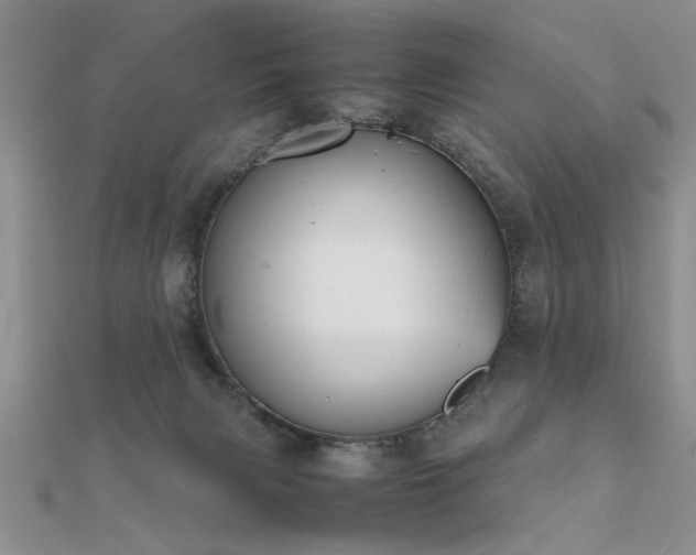 X0000112400079200908141348